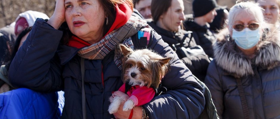Hilfe für ukrainische Flüchtlinge mit Tieren